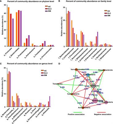 Gut microbiota and its metabolites in non-small cell lung cancer and brain metastasis: from alteration to potential microbial markers and drug targets